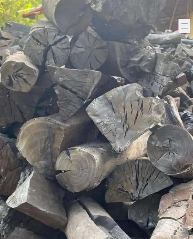 Arundaya Global Fortune