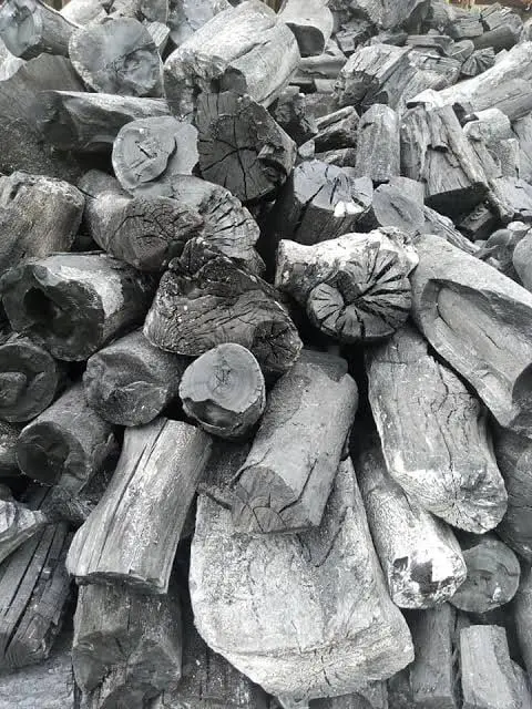 Arundaya Global Fortune